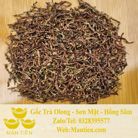 Gốc Trà Olong - Sơn Mật Hồng Sâm